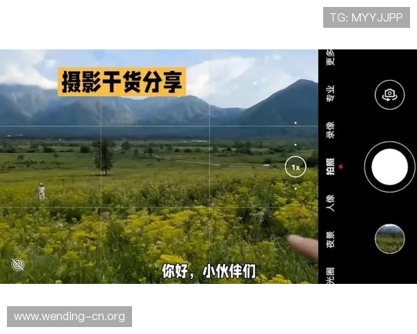 问鼎PG娱乐官方平台的最新攻略与玩法详解助你轻松成为游戏高手